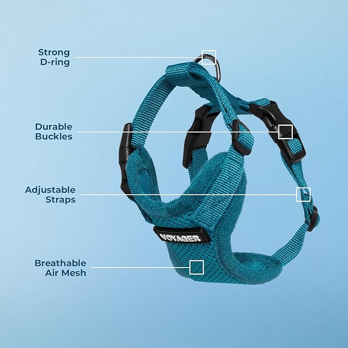 Voyager Step-in Lock Pet Harness - All Weather Mesh, Adjustable Step in Harness for Cats and Dogs by Best Pet Supplies - Turquoise, XL