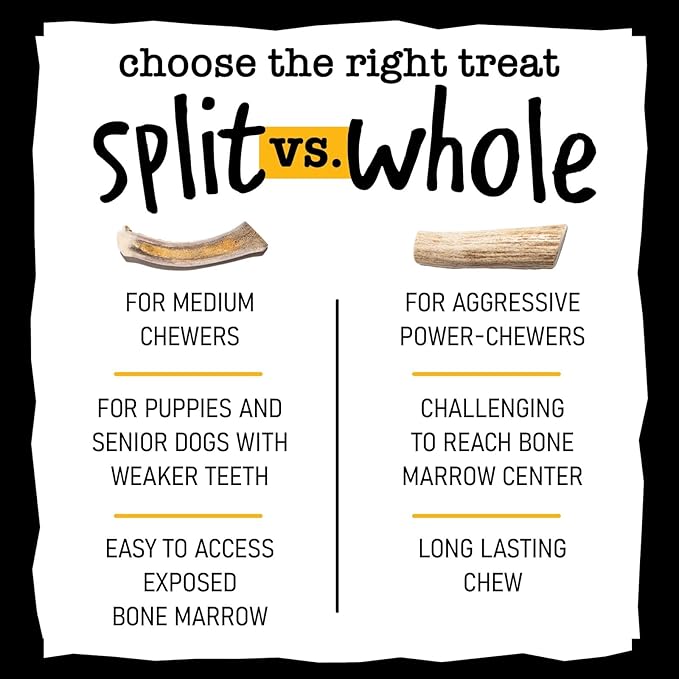 Snatchers Whole Elk Antlers for Mild to Aggressive Chewers – Durable, Naturally Shed Antlers for Dogs Processed in the USA with No Additives – Vitamin-Rich Dog Treats for Fun & Health (Medium 1 Count)
