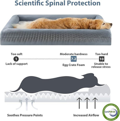 WNPETHOME Washable Dog Beds Large Sized Dog, XXXXL Dog Bed, Orthopedic Dog Sofa Bed with Removable & Waterproof Cover, Extra Large Dog Bed with Bolster Sides for Sleeping, Giant Dog Bed with Sides