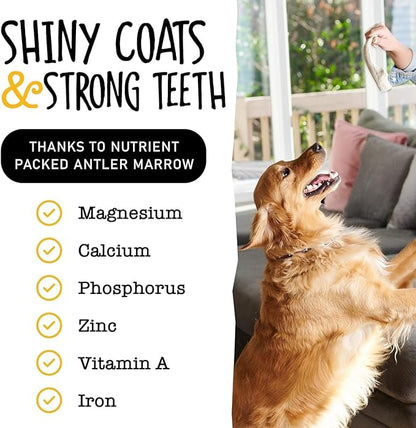 Snatchers Deer Antlers for Mild to Aggressive Chewers – Durable, Naturally Shed Antlers for Dogs Processed in The USA, No Additives (Large, 1 Count)