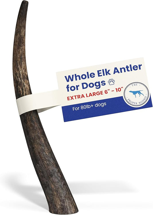 The Proper Hound® Whole Elk Antlers for Dogs [Long Lasting] - Elk Bones for Dogs Humanely Sourced - Elk Horns for Dogs - Dog Elk Antler Chews - Antlers for Dogs Extra Large >80 Pounds - Ready to CHEW