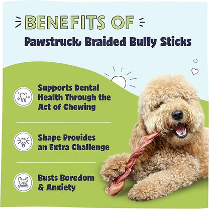 Pawstruck Natural 12” Braided Bully Sticks for Dogs - Tough Long Lasting, Rawhide Free, Low Odor, Healthy Single Ingredient Chew Treat for Aggressive Chewers - 10 Count - Packaging May Vary