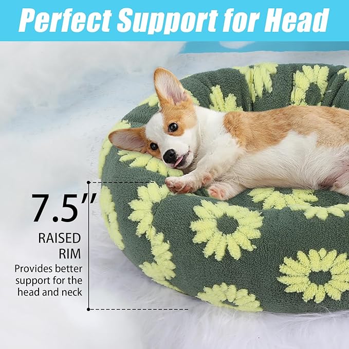 HYQ Small Dog Bed, Cat Beds for Indoor Cats, Dog Beds for Small Dogs with Anti-Slip Bottom, Cute Puppy Bed Washable-Yellow-20inch