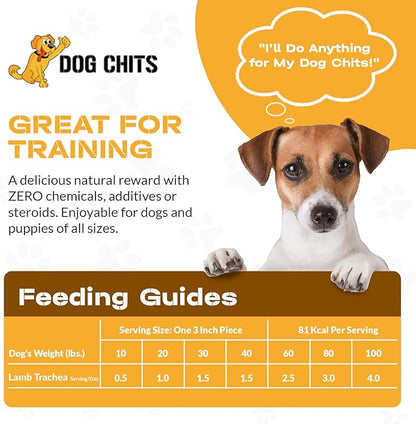 Dog Chits Lamb Trachea for Dogs - Dog and Puppy Chews | Amazing for Joints | Made in USA | Great for Pups Allergic to Beef | All-Natural Treats | Large and Small Dogs | 8 oz. Bag