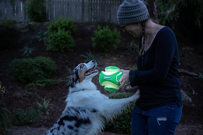ChuckIt! Kick Fetch Dog Toy Ball, Glow In The Dark, Small
