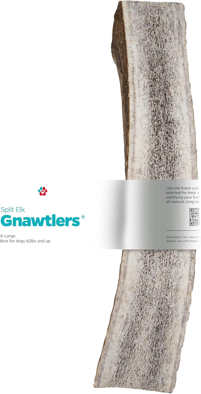 Pet Parents Gnawtlers- Premium Elk Antlers for Dogs, Naturally Shed Elk Antlers for Dogs Heartland Regions (Extra Large)