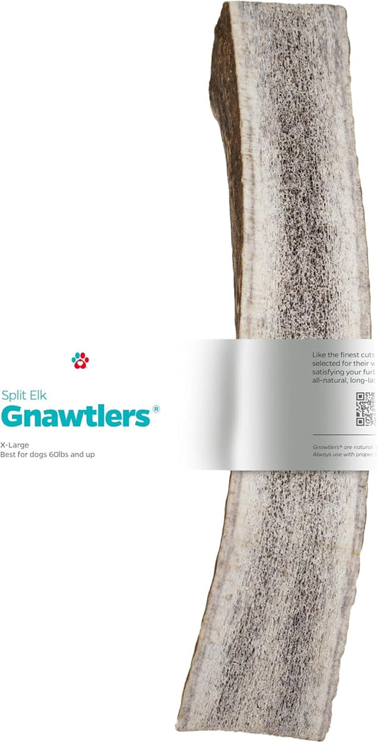 Pet Parents Gnawtlers- Premium Elk Antlers for Dogs, Naturally Shed Elk Antlers for Dogs Heartland Regions (Extra Large)