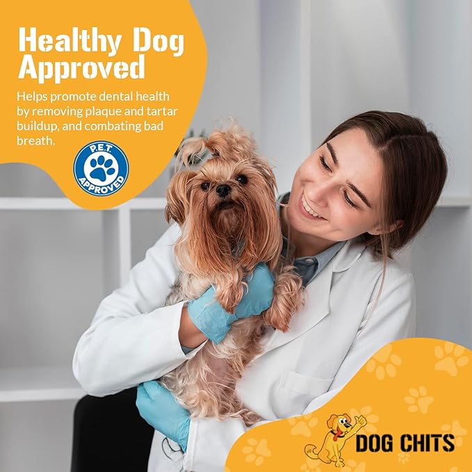 Dog Chits Cow Ears Dog and Puppy Treats - All Natural Grain and Chemical Free Training Chews - High Protein and Low Fat - Supports Dental Health - Made in The USA - 10 Count