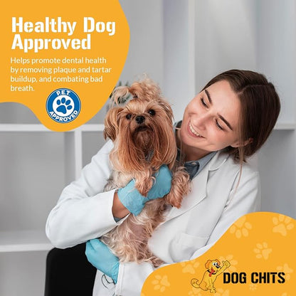 Dog Chits Cow Ears Dog and Puppy Treats - All Natural Grain and Chemical Free Training Chews - High Protein and Low Fat - Supports Dental Health - Made in The USA - 10 Count