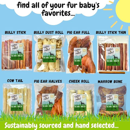 BULLYSTICKS & MORE 6 Inch Beef Trachea (6 Inch - 12 Pack) | Beef Trachea for Dogs | 100% Grass Fed Beef | Dog Parents Choice Beef Trachea Dog Chews | Long Lasting Beef Trachea Dog Treats