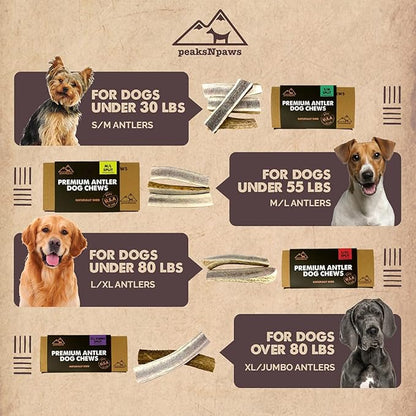 Premium All-Natural Grade A Split Elk Antlers for Dogs – Naturally Shed in The Rocky Mountains – No Additives, No Preservatives - Healthy and Delicious Treat - Made in USA - XL/Jumbo Split