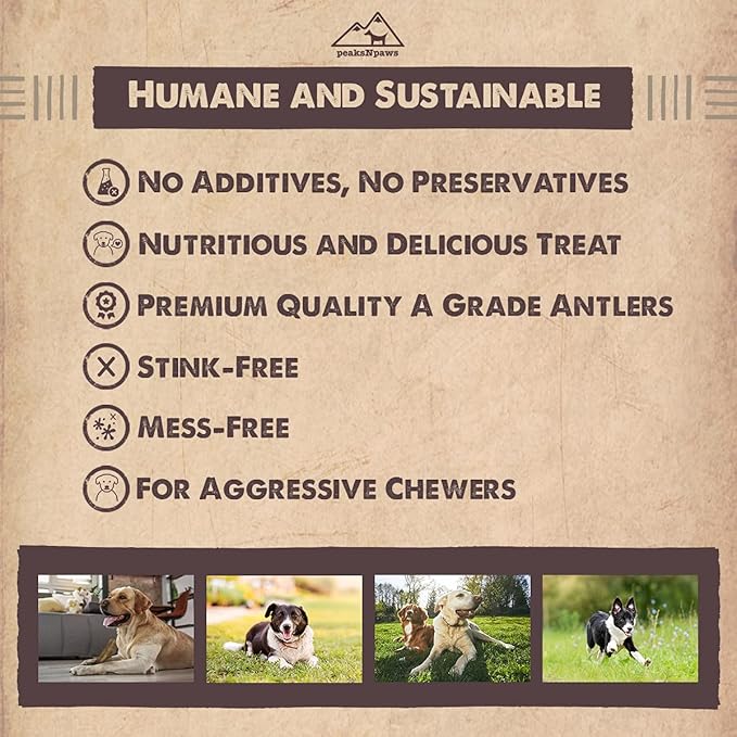 Premium All-Natural Grade A Split Elk Antlers for Dogs – Naturally Shed in The Rocky Mountains – No Additives, No Preservatives - Healthy and Delicious Treat - Made in USA - XL/Jumbo Split