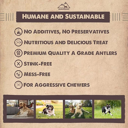 Premium All-Natural Grade A Split Elk Antlers for Dogs – Naturally Shed in The Rocky Mountains – No Additives, No Preservatives - Healthy and Delicious Treat - Made in USA - XL/Jumbo Split