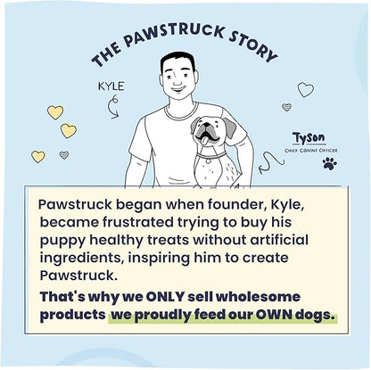 Pawstruck Large 5-6" Filled Dog Bones, Peanut Butter Flavor - Made in USA Long Lasting Stuffed Femur for Aggressive Chewers Dental Treat - Pack of 3 - Packaging May Vary