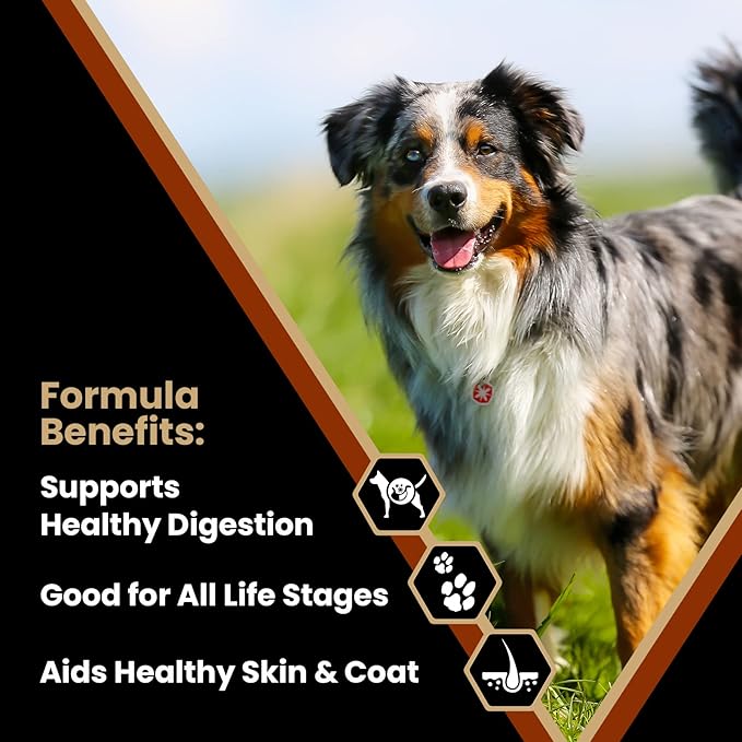 Victor Super Premium Dog Food – Chicken Meal & Brown Rice Formula - Dry Dog Food for All Normally Active Dogs of All Life Stages – Ideal for Dogs with Meat Protein Allergies, 5 lb