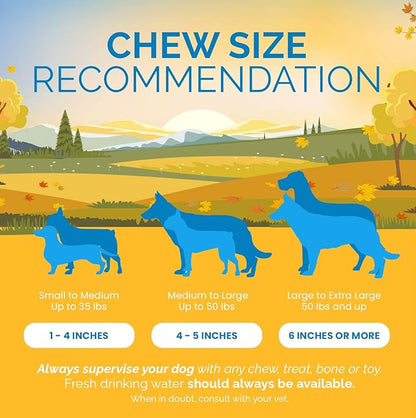 Lamb Ear Dog Chews (30 Count) - from All Natural Free Range Lambs - Quality Ears for Dogs
