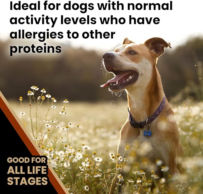 Victor Super Premium Dog Food – Chicken Meal & Brown Rice Formula - Dry Dog Food for All Normally Active Dogs of All Life Stages – Ideal for Dogs with Meat Protein Allergies, 5 lb