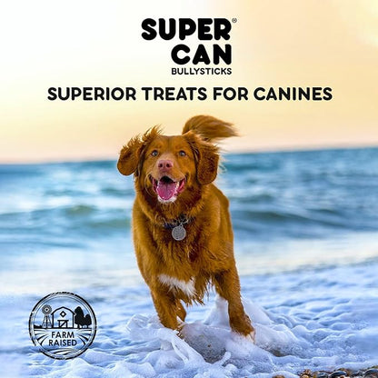 SUPER CAN BULLYSTICKS Natural Whole Pig Ears for Dogs (100 Count) - 100% Natural Pork Ear for Dogs - Easily Digestible Natural Dog Chews for Medium-Large Dogs