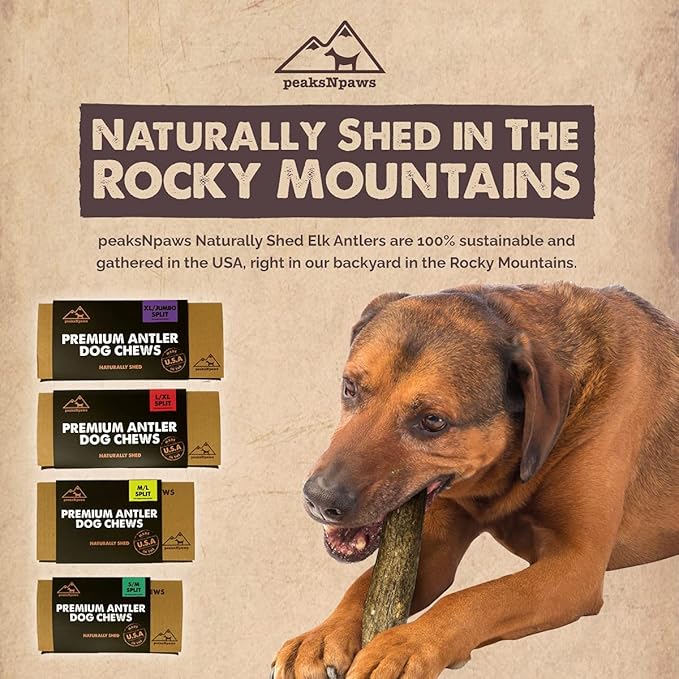 Premium All-Natural Grade A Split Elk Antlers for Dogs – Naturally Shed in The Rocky Mountains – No Additives, No Preservatives - Healthy and Delicious Treat - Made in USA - XL/Jumbo Split