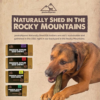 Premium All-Natural Grade A Split Elk Antlers for Dogs – Naturally Shed in The Rocky Mountains – No Additives, No Preservatives - Healthy and Delicious Treat - Made in USA - XL/Jumbo Split
