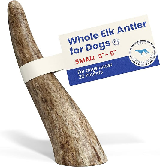 The Proper Hound® Whole Elk Antlers for Dogs [Long Lasting] - Elk Bones for Dogs Humanely Sourced - Elk Horns for Dogs - Dog Elk Antler Chews - Antlers for Small Dogs Under 25 Pounds - Ready to CHEW