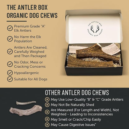The Antler Box Premium Elk Antler Dog Chews (1 Piece Box) (Split, Large (4-6Oz)