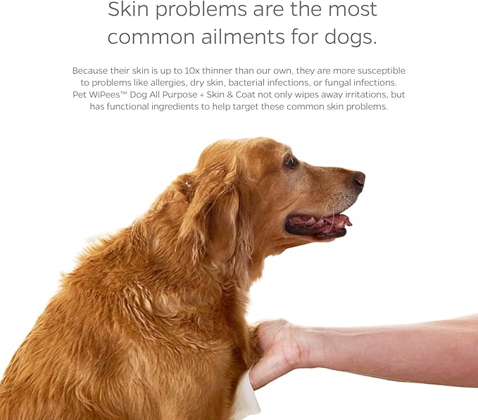 Pet Parents® Pet WiPees™ Dog All Purpose + Skin & Coat Pet Wipes, Pet Wipes for Dogs, Dog Wipes & Puppy Wipes, Paw Wipes for Dogs (100 Count (Pack of 2), Calming)
