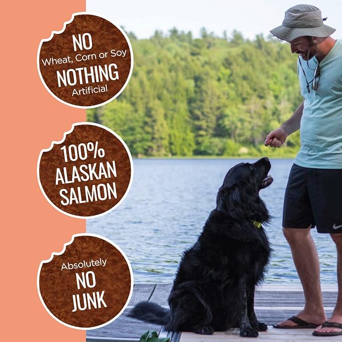 Smart Cookie Freeze Dried Salmon Bites - Single Ingredient Freeze Dried Salmon Treats for Dogs - Wild Caught Alaskan Salmon Dog Training Treats & Dog Food Topper - Made in USA - 2oz Bag, 3 Pack