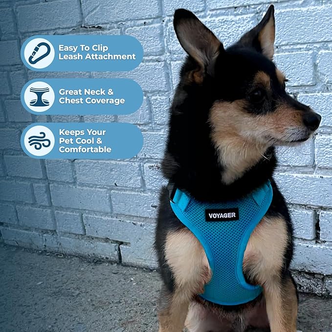 Voyager Step-in Lock Pet Harness - All Weather Mesh, Adjustable Step in Harness for Cats and Dogs by Best Pet Supplies - Turquoise, XL