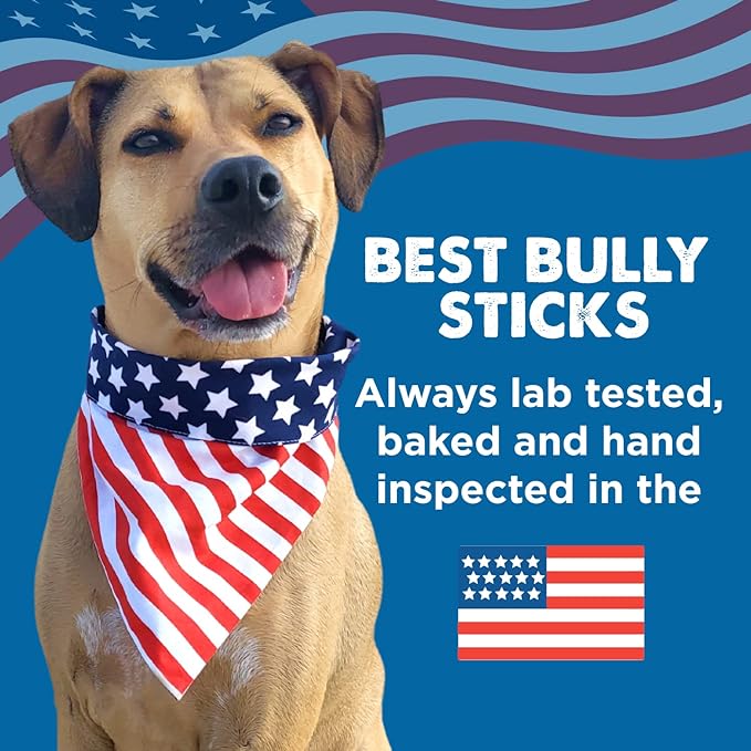 Best Bully Sticks 6 Inch Jumbo Bully Sticks for Large Dogs - 100% Natural, Grass-Fed Beef - Single Ingredient Grain and Rawhide Free Bully Stick Dog Chews | 4 Pack