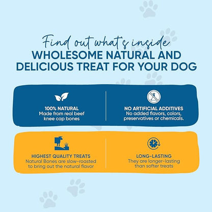 Dog Bone Knee Caps - 100% Natural & Long Lasting Beef Chews Beef Chew Treats for Pets - Ideal for Small to Large Dogs (30 Count - Made in USA)