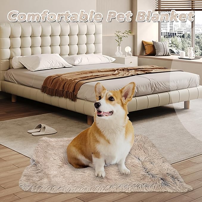 PJYuCien Fluffy Fleece Calming Pet Throw Blanket, Super Soft and Warm for Indoor Cats and Dogs, Medium 24 * 32", Machine Washable, Grey Puppy Blanket (Brown)