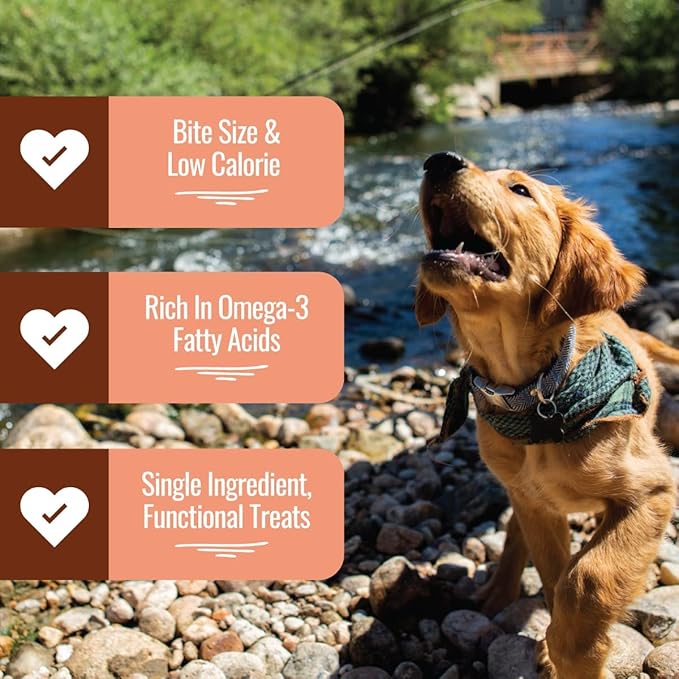 Smart Cookie Freeze Dried Salmon Bites - Single Ingredient Freeze Dried Salmon Treats for Dogs - Wild Caught Alaskan Salmon Dog Training Treats & Dog Food Topper - Made in USA - 2oz Bag, 3 Pack