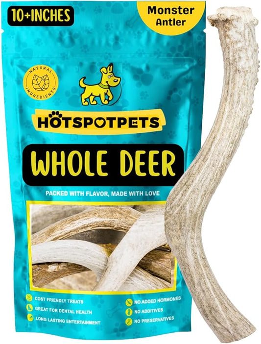 hotspot pets Premium Whole Deer Antlers for Dogs - 10+ Inch Monster Deer Antler Dog Chews - Naturally Shed for Large Breed Aggressive Chewers - Sourced in USA (1, Monster Antler)