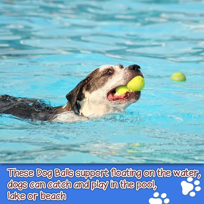 Squeaky Tennis Balls for Dogs Colorful Easy Catching Pet Dog Balls 50 Pack (2.5inch-6colors)