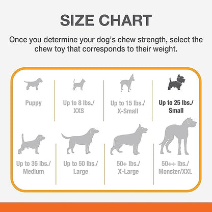 Nylabone Power Chew Customer Favorites Dog Toy Bundle, Indestructible Dog Chew Toys for Aggressive Chewers, 3 Shapes and Flavors, Flavor Medley, Small/Regular (3 Count)