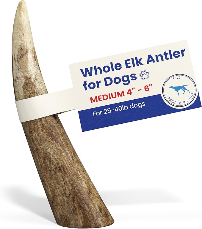 The Proper Hound® Whole Elk Antlers for Dogs [Long Lasting] - Elk Bones for Dogs Humanely Sourced - Elk Horns for Dogs - Dog Elk Antler Chews - Antlers for Dogs Medium 25-40 Pounds - Ready to CHEW