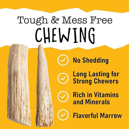 Snatchers Deer Antlers for Mild to Aggressive Chewers – Durable, Naturally Shed Antlers for Dogs Processed in The USA, No Additives (Large, 1 Count)