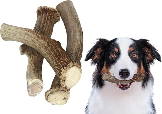Premium White Tail Deer Antler Dog Chews, 100% All Natural, Naturally Shed Antlers, Select Cut to Size, Sanded Smooth, Dog Bones (3 Pack) (Large)