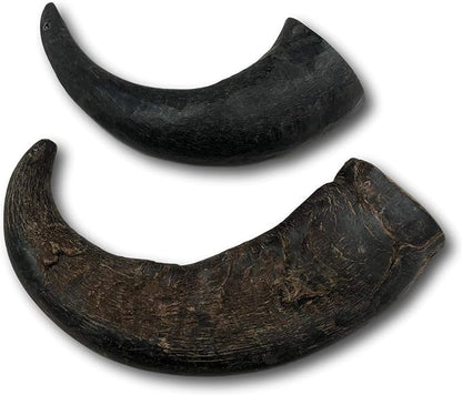 Top Dog Chews – Water Buffalo Horn, Long Lasting Dog Chew for Aggressive Chewers, All Natural, Dog Bone for Large & Medium Dogs, 2 Pack