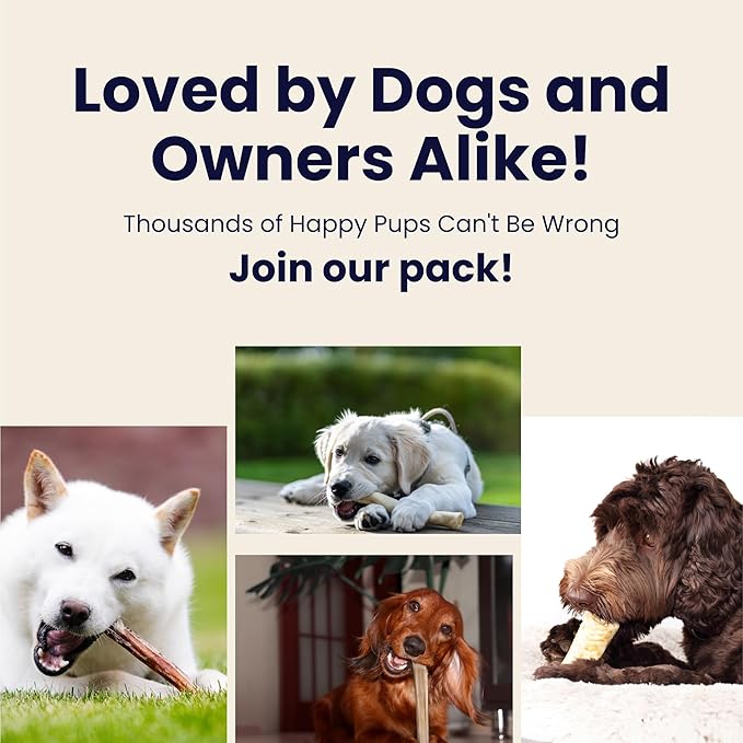 The Proper Hound® Whole Elk Antlers for Dogs [Long Lasting] - Elk Bones for Dogs Humanely Sourced - Elk Horns for Dogs - Dog Elk Antler Chews - Antlers for Dogs Medium 25-40 Pounds - Ready to CHEW
