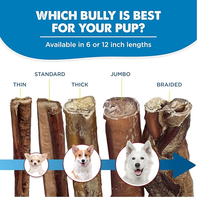 Best Bully Sticks 12 Inch All-Natural Bully Sticks for Dogs - 12” Easily Digestible, 100% Grass-Fed Beef, Grain and Rawhide Free | 3 Pack Trial Size