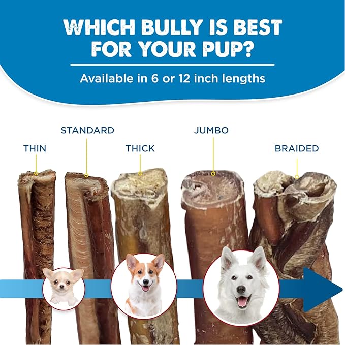 Best Bully Sticks 6 Inch Jumbo Bully Sticks for Large Dogs - 100% Natural, Grass-Fed Beef - Single Ingredient Grain and Rawhide Free Bully Stick Dog Chews | 12 Pack