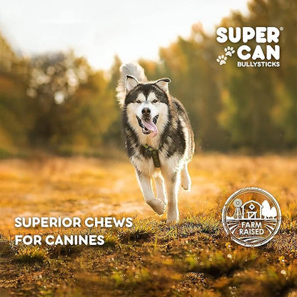 SUPER CAN BULLYSTICKS Half Pig Ears for Dogs (100 Count) - All Natural Healthy Digestible Dog Chews - Long-Lasting Pig Ears Treats for Small, Medium, & Large Dogs
