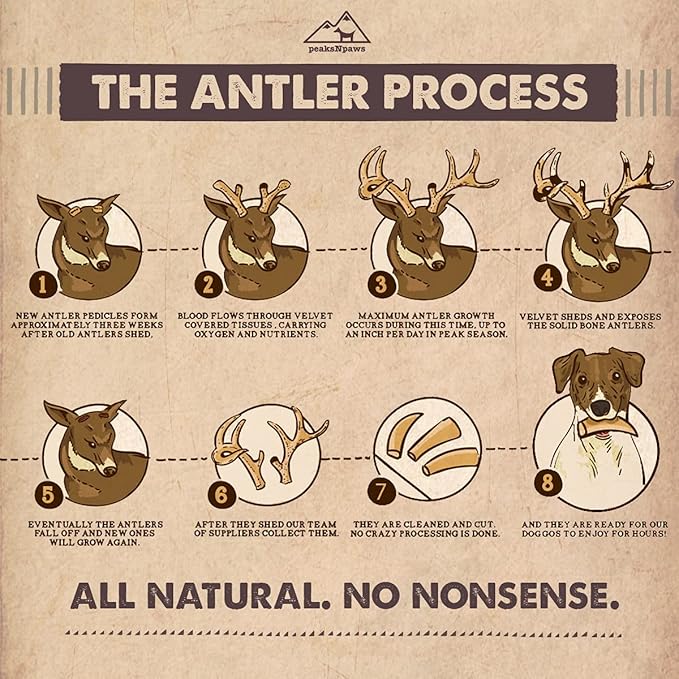 Premium All-Natural Grade A Split Elk Antlers for Dogs – Naturally Shed in The Rocky Mountains – No Additives, No Preservatives - Healthy and Delicious Treat - Made in USA - XL/Jumbo Split