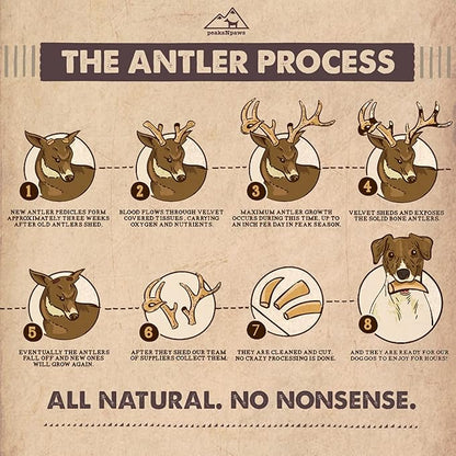 Premium All-Natural Grade A Split Elk Antlers for Dogs – Naturally Shed in The Rocky Mountains – No Additives, No Preservatives - Healthy and Delicious Treat - Made in USA - XL/Jumbo Split
