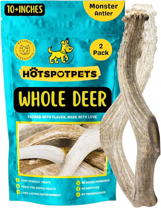hotspot pets Premium Whole Deer Antlers for Dogs - 10+ Inch Monster Deer Antler Dog Chews - Naturally Shed for Large Breed Aggressive Chewers - Sourced in USA (2 Antlers, Monster Size)