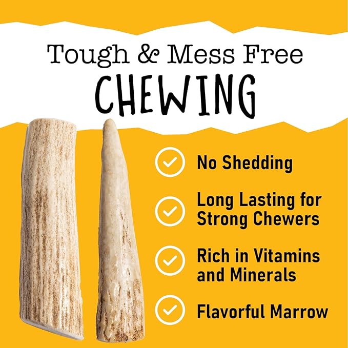 Snatchers Whole Elk Antlers for Mild to Aggressive Chewers – Durable, Naturally Shed Antlers for Dogs Processed in the USA with No Additives – Vitamin-Rich Dog Treats for Fun & Health (Medium 1 Count)