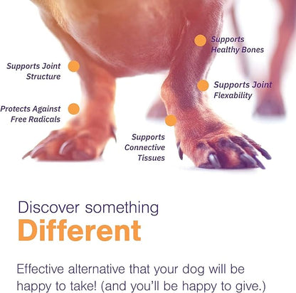 Joint Support Supplement for Small Dogs - Hip and Joint Support - Dog Joint Supplement - Hip and Joint Supplement Dogs - 60 Soft Chews (by Virbac)
