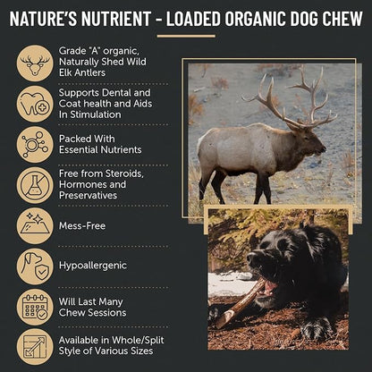 The Antler Box Premium Elk Antler Dog Chews (1 Piece Box) (Split, Large (4-6Oz)